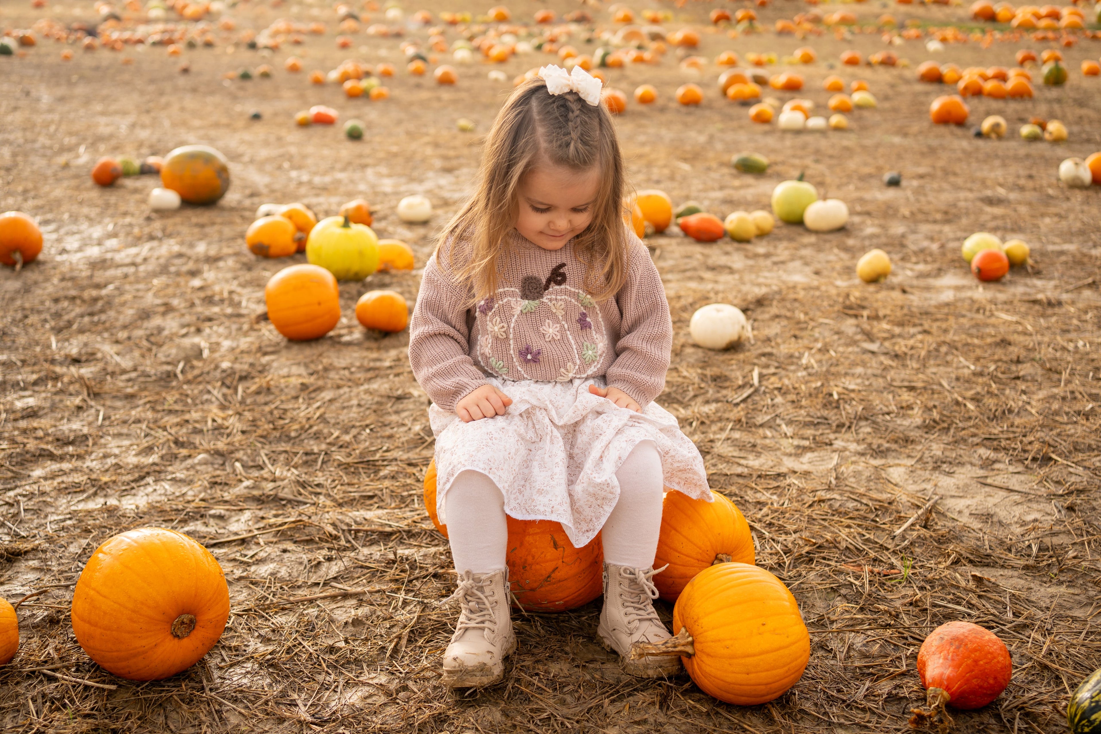 Pumpkin Season